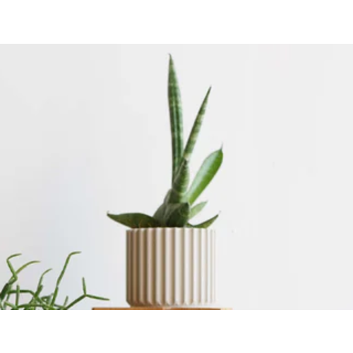 Minimum Design Stockholm bloempot mist Ø 5,5 cm Minimum Design Stockholm bloempot mist Ø 5,5 cm