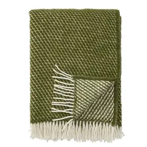 Klippan Velvet plaid avocado
