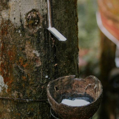 natuurrubber