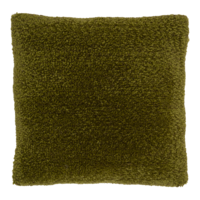 Megan kussen evergreen sprig