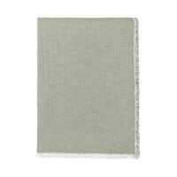 Thyme plaid green