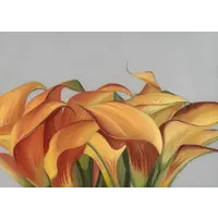 Yellow Flower poster 30 x 40