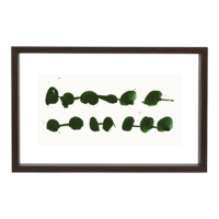 Fotolijst Floating Large Walnut