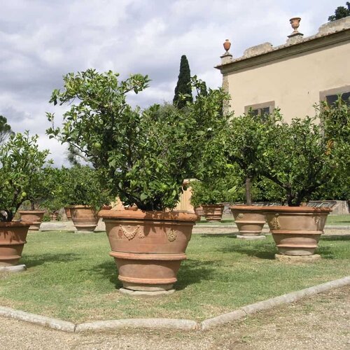 Poggi Ugo Vaso festonato Ø 50 x H 41 Poggi Ugo Vaso festonato Ø 50 x H 41
