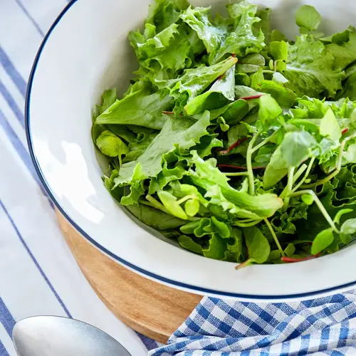 COSTA NOVA Beja saladekom wit blauw