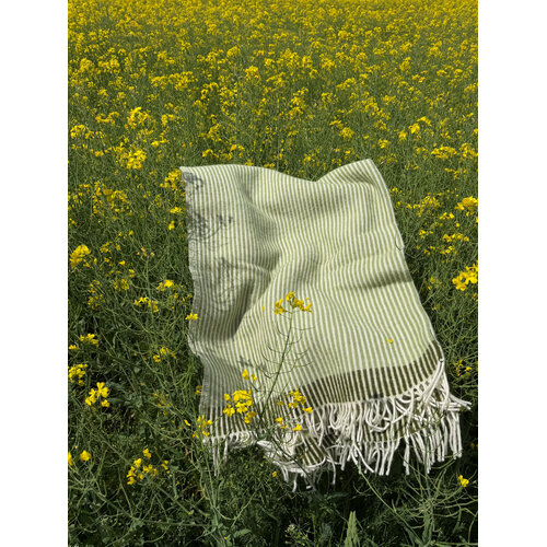Klippan Rib plaid green/avocado Klippan Rib plaid green/avocado