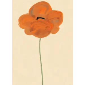 Paper Collective Orange Vallmo poster 30 x 40 Paper Collective Orange Vallmo poster 30 x 40
