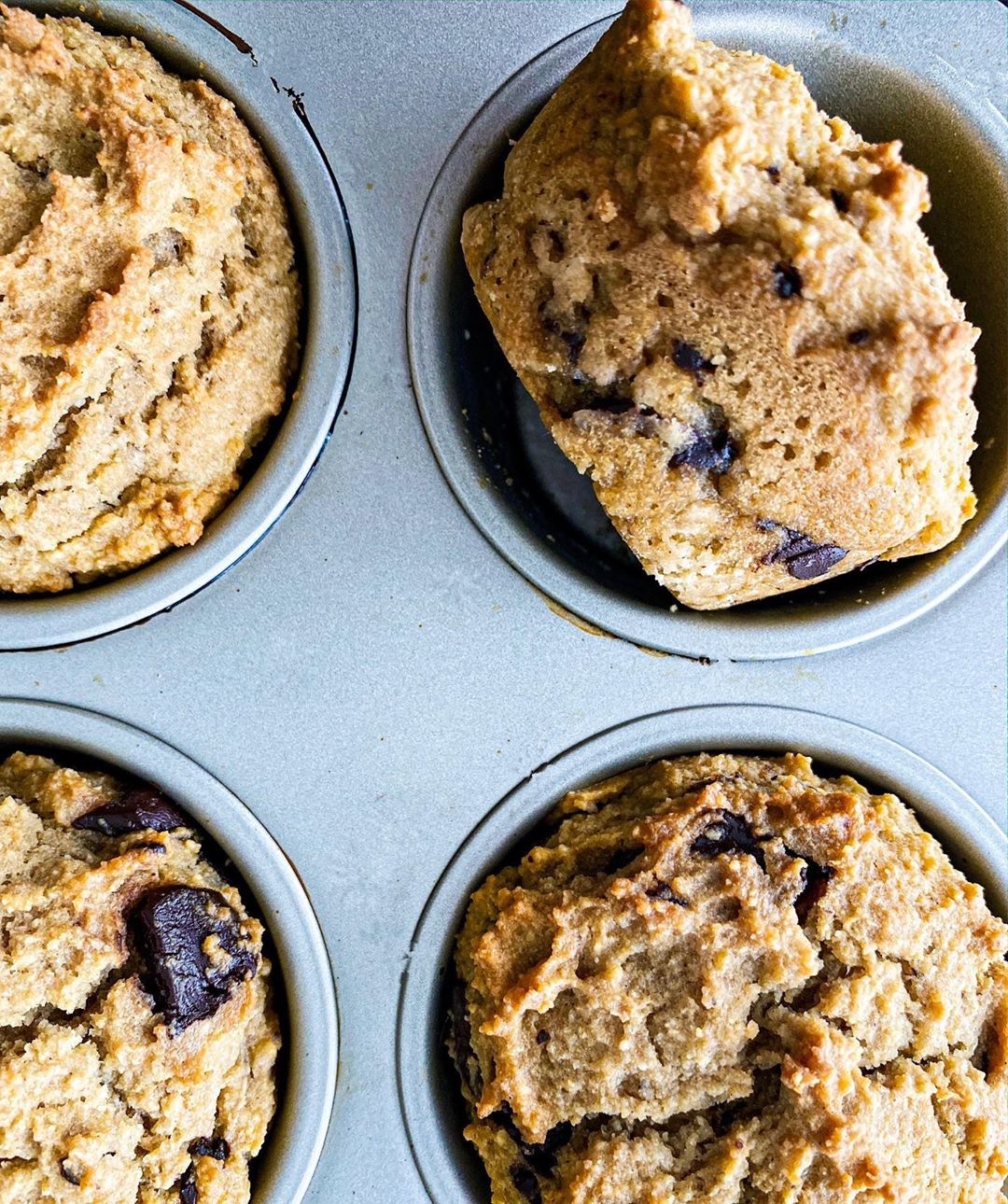 Chocolate chip muffins.jpg