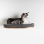 RHRQuality Kletterwand - Katzenbett de Luxe (Grau)