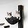 RHRQuality Wandmöbel Kletterwand Katze - Wand Sisalstamm XXL mit Hängematte 45Øcm de Luxe Blackline (Dunkelgrau)