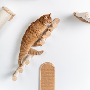 RHRQuality Wandmöbel Kletterwand Katze - Leiterset (Creme)