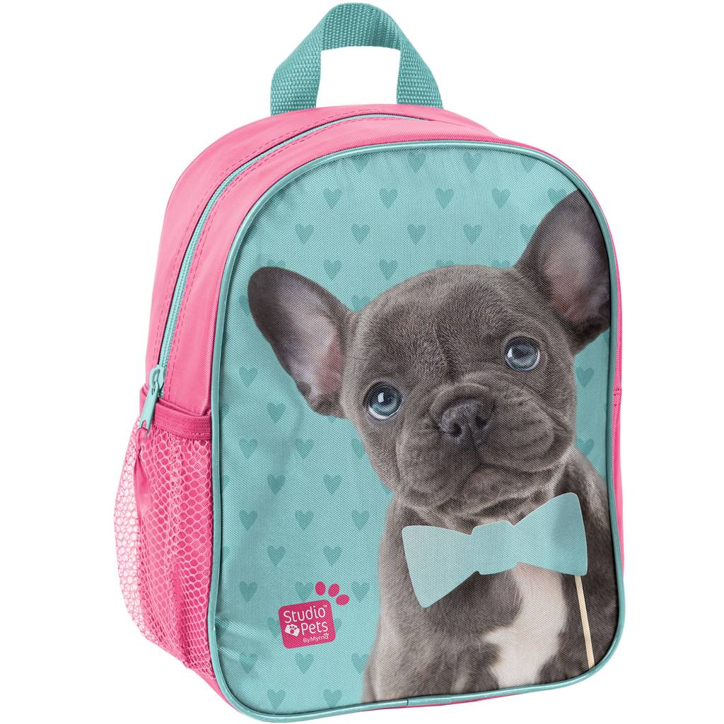 Studio Pets Dog - Backpack - 28 cm - Multi