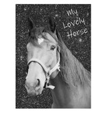 Animal Pictures Lovely Horse - Diary - A6 - Including Lock
