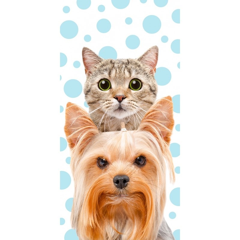 Cat & Dog Beach towel - 140 x 70 cm - Multi