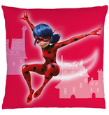 Miraculous Secret - Cushion - 40 x 40 cm - Multi