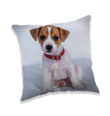 Animal Pictures Kussen Puppy - 40 x 40 cm - Polyester