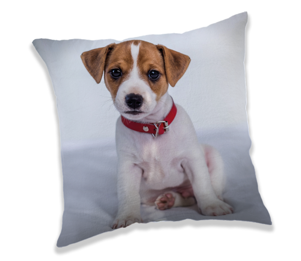 Animal Pictures Cushion Puppy - 40 x 40 cm - Polyester