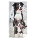 Animal Pictures Beach towel Puppy and Dog - 70 x 140 cm - Cotton