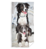 Animal Pictures Strandlaken Puppy and Dog - 70 x 140 cm - Katoen