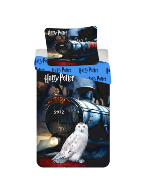 Harry Potter Dekbedovertrek Hogwarts Express 140 x 200 Katoen
