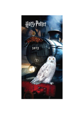Harry Potter Strandlaken Hedwig 70 x 140 cm Katoen