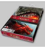 Draak Duvet cover Fire Dragon - Single - 140 x 200 cm - Cotton