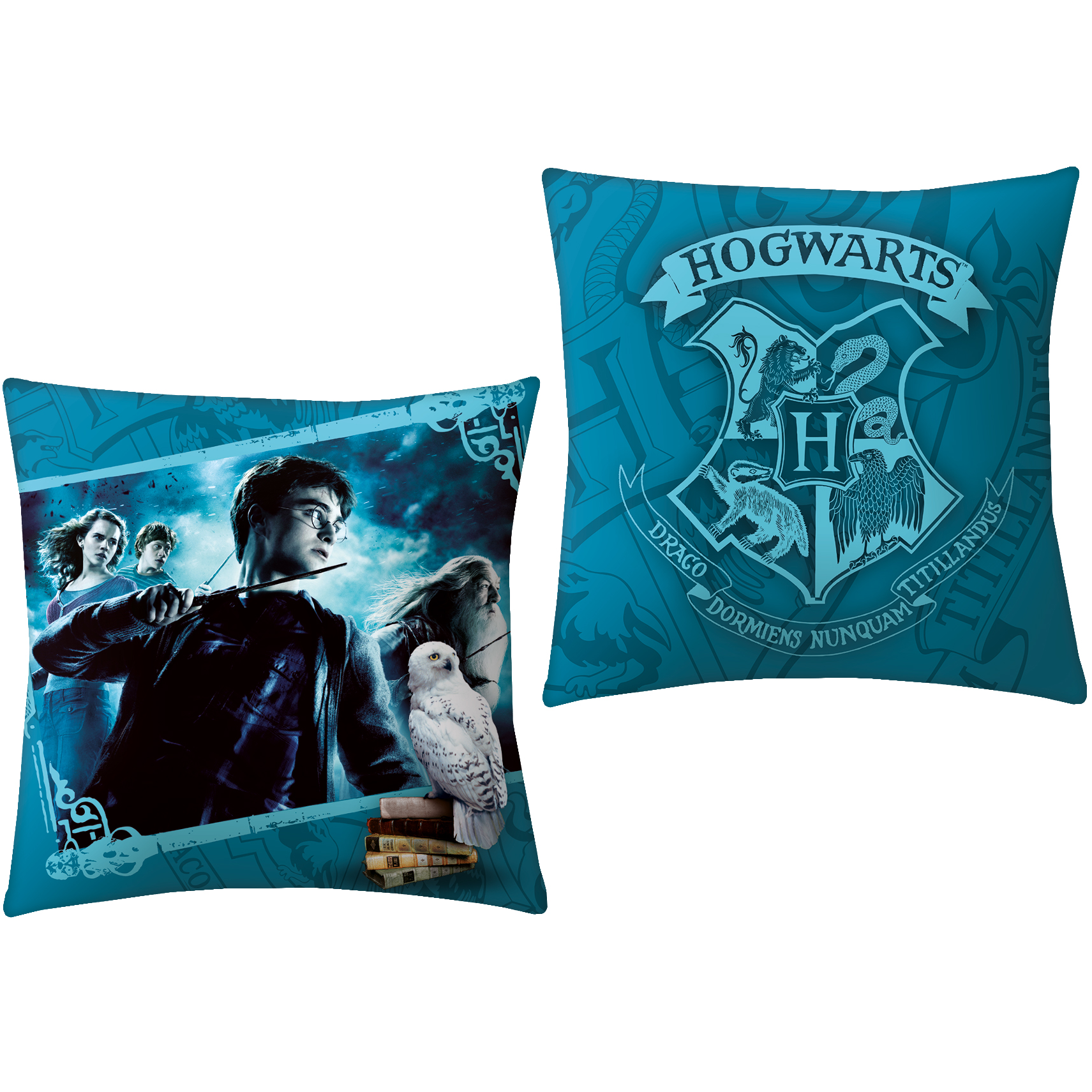 Harry Potter Cushion Hedwig - 40 x 40 cm - Polyester