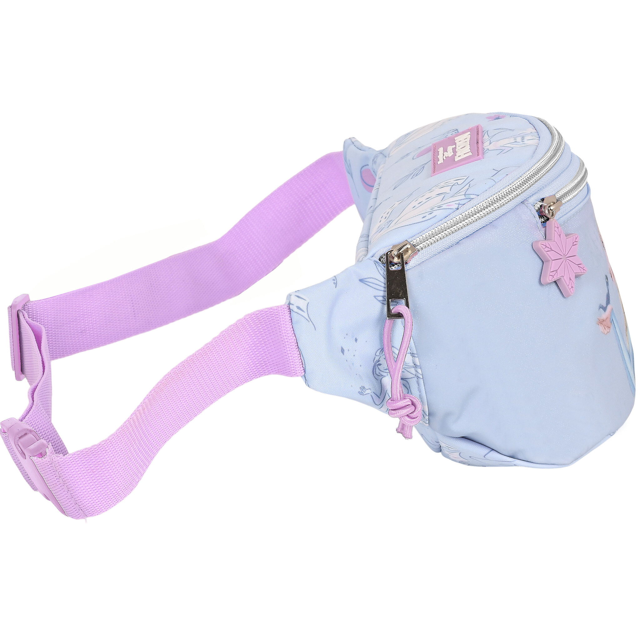 Disney Frozen Fanny pack, Believe - 23 x 12 x 9 cm - Polyester