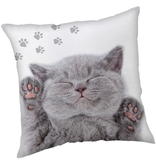 Animal Pictures Decorative cushion Kitten - 40 x 40 cm - Polyester