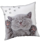 Animal Pictures Sierkussen Kitten - 40 x 40 cm - Polyester