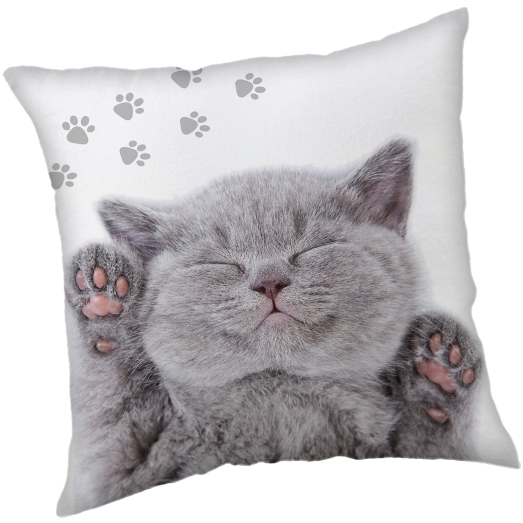 Animal Pictures Decorative cushion Kitten - 40 x 40 cm - Polyester