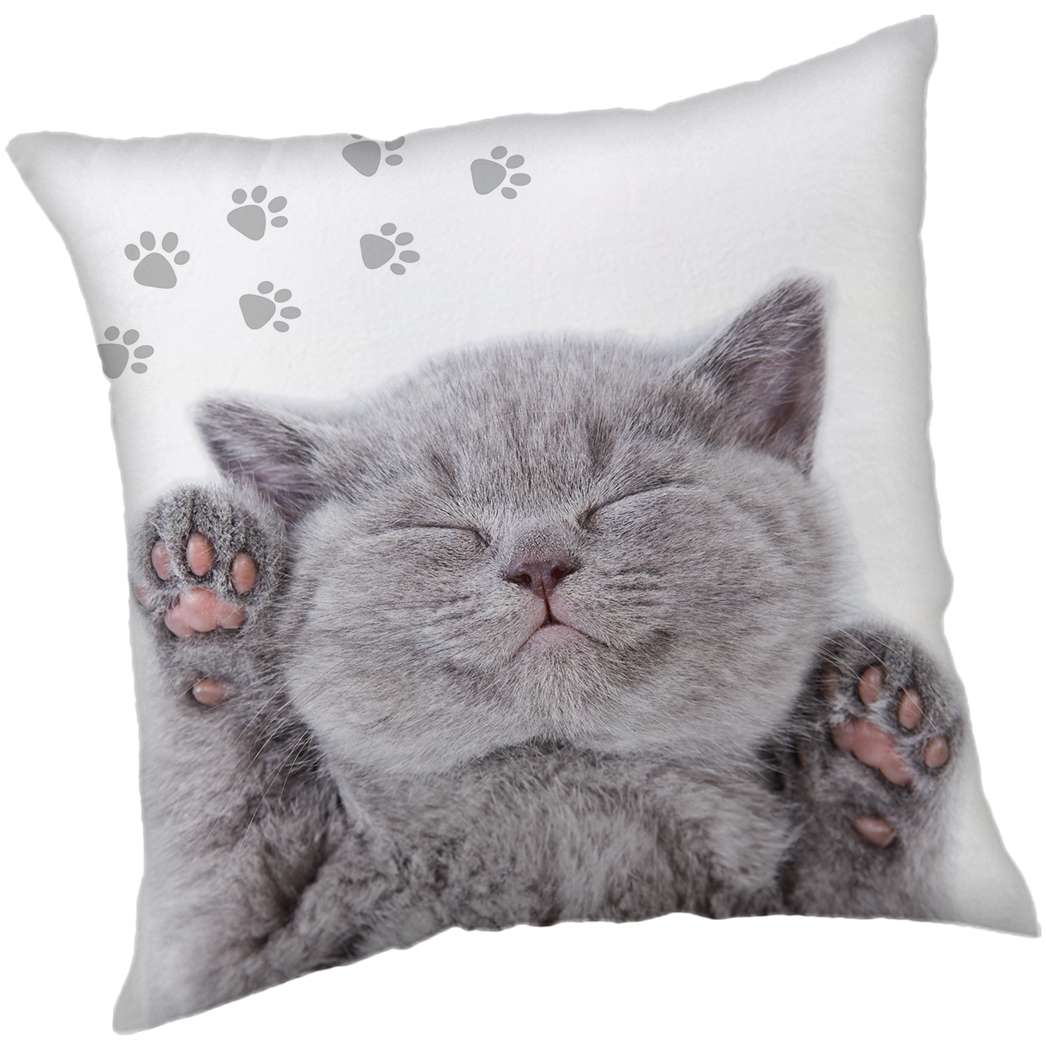 Animal Pictures Sierkussen Kitten - 40 x 40 cm - Polyester