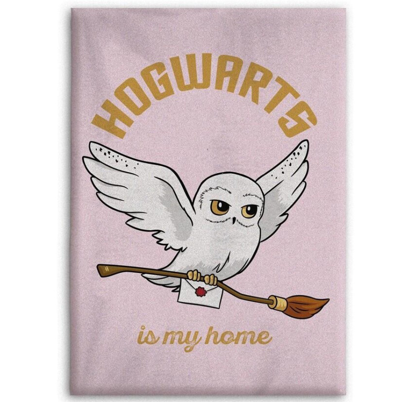 Harry Potter Fleece plaid Hogwarts - 110 x 150 cm - Polyester