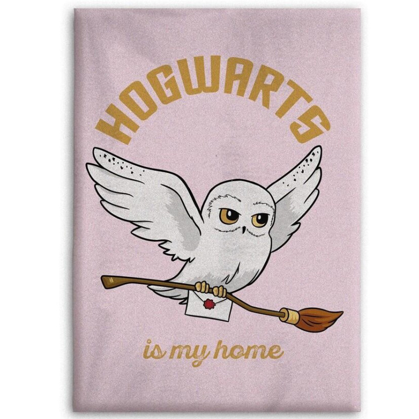 Harry Potter Fleeceplaid Zweinstein - 110 x 150 cm - Polyester