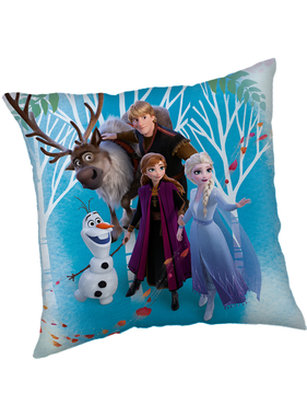 Disney Frozen Decorative cushion Family 40 x 40 cm Polyester