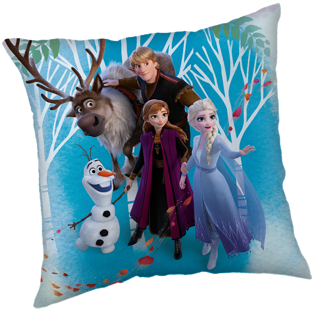 Disney Frozen Decorative cushion Family - 40 x 40 cm - Polyester