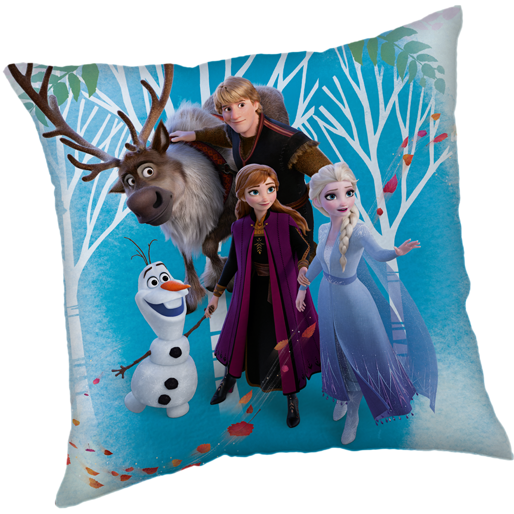 Disney Frozen Sierkussen Family - 40 x 40 cm - Polyester