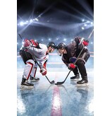 Sweet Home Fleece deken, IJshockey - 100 x 150 cm - Polyester