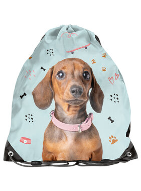 PASO Gym bag Swim bag Dachshund 45 x 34 cm Polyester