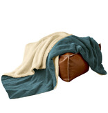 De Witte Lietaer Teddy Fleece Plaid Laya - Petrol - 150 x 200 cm - Polyester