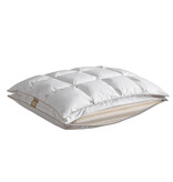 De Witte Lietaer Bilancia Ergonomic Pillow - 40 x 60 cm - Duck Down