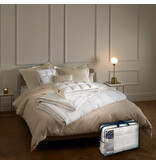 De Witte Lietaer Bilancia Ergonomic Pillow - 40 x 60 cm - Duck Down