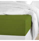 De Witte Lietaer Hoeslaken Olivia Cactus - 180 x 200/220 x h 30 - Groen - Katoen Satijn