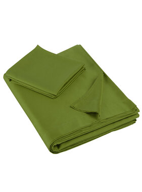 De Witte Lietaer Olivia Cactus Sheet Set 180 x 280 + 60 x 70 Satin Cotton
