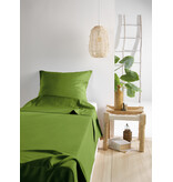 De Witte Lietaer Olivia Cactus Sheet Set - Single - 180 x 280 cm - Satin Cotton