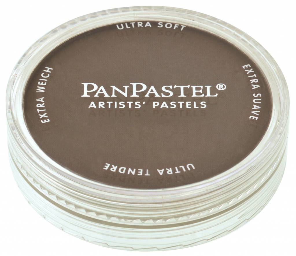 Panpastel 9Ml Raw Umber Shade panpastel kopen in de aanbieding