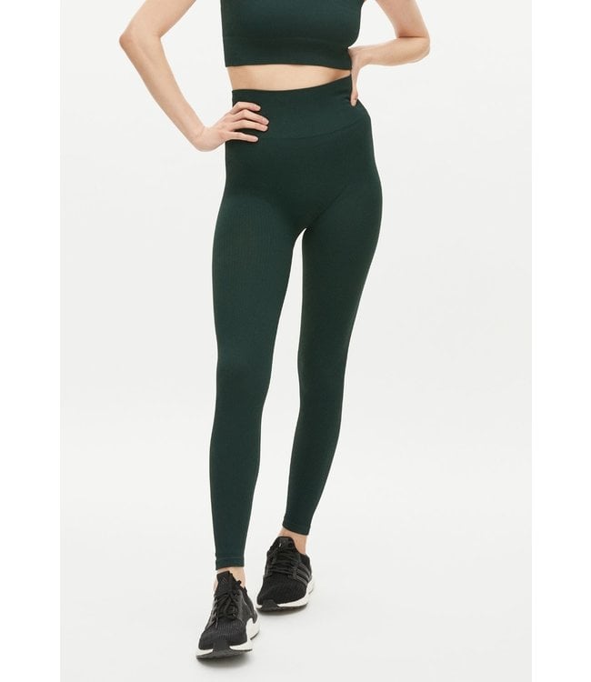 Rohnisch Seamless Rib Yoga Legging - Scarab