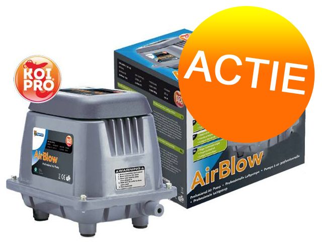 Koi Pro Air Blow 50 Aquastorexl Be