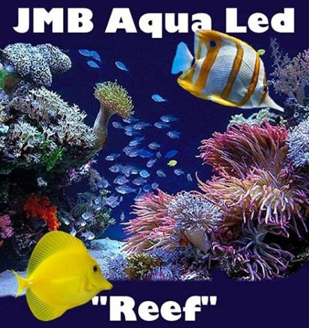 Jmb Reef Aqua Light 60w 120cm 3w Aquastorexl Be