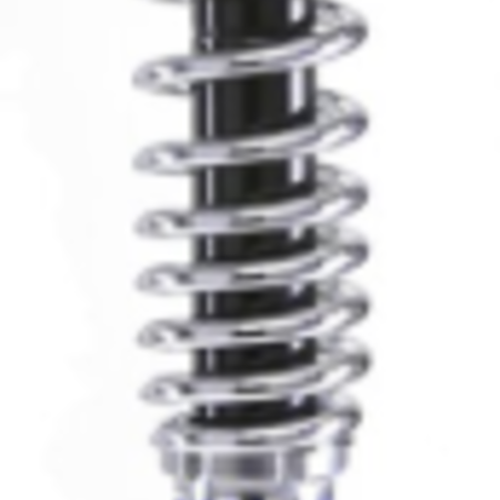 Hagon Hagon Shocks onder zwart, chromen veer